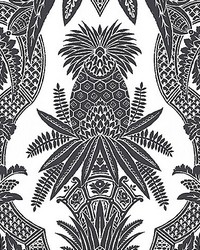 East India Bianco   Nero by   