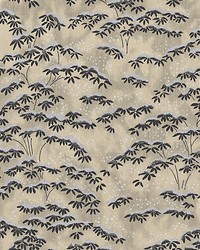 Sagano Beige by  Kravet Wallcovering 