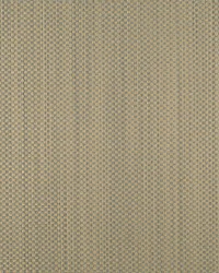 Domino Ciel by  Collier Campbell 