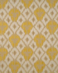 Ungherese Allover Multi Golds  Taupes by  Scalamandre 