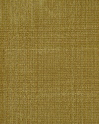 Zerbino Wheat Strie by   