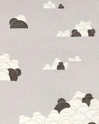 Lambs Roccia by  Scalamandre 