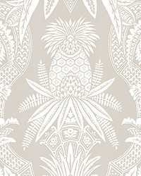 East India Bianco   Beige by   