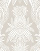 Scalamandre Wallcoverings EAST INDIA BIANCO / BEIGE