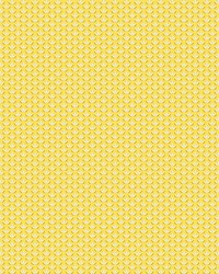 Ninfa Trellis Wallpaper Giallo by  Scalamandre Wallcoverings 