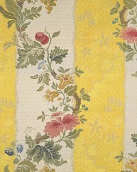 Villa Lante Stripe Multi On Yellow  Bisque by   