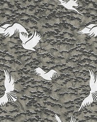 Gru Grigio by  Collier Campbell 