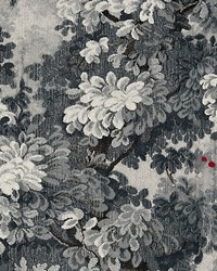 Marly Grigio by  Scalamandre Wallcoverings 