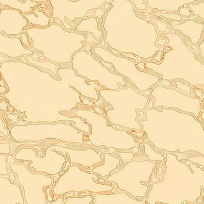 Scalamandre Wallcoverings Marble Calacatta CL 0004WP26880 Grey  Stone Wallpaper 