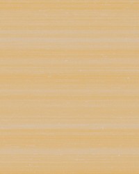 Melograno Unito Tea by  Kravet Wallcovering 