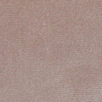 Scalamandre Argo Tortora COLONY FABRIC 2019 CL 000536432 Brown Upholstery COTTON COTTON