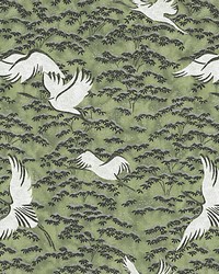 Gru Verde by  Kravet Wallcovering 