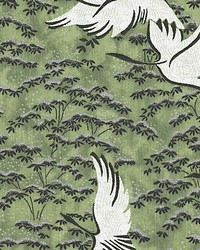 Gru Magnus Grasscloth Verde by  Scalamandre Wallcoverings 