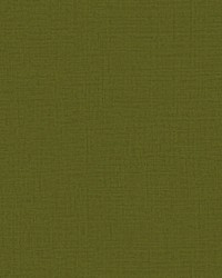 Marly Unito Vinyl Betulla by  Scalamandre Wallcoverings 