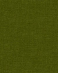 Marly Unito Vinyl Pino by  Scalamandre Wallcoverings 