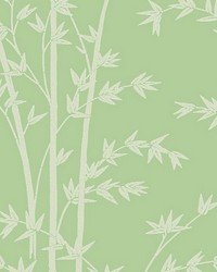 Bamboo Mela by  Scalamandre Wallcoverings 