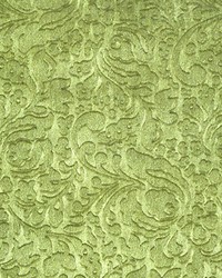 Canova Sevignee Verde by  Scalamandre 