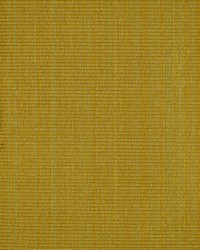 Zerbino Saffron Strie by   