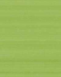 Melograno Unito Vinyl Menta by  Scalamandre Wallcoverings 