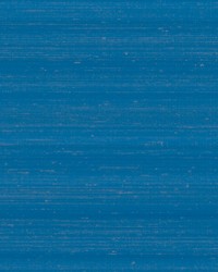 Melograno Unito Vinyl Blu Di Prussia by  Scalamandre Wallcoverings 