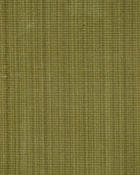 Zerbino Celery Strie by   