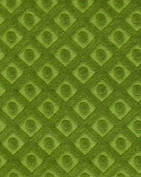 Argo Trellis Muschio by   