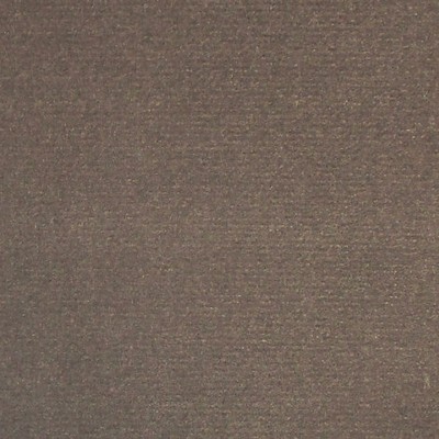 Scalamandre Argo Elefante COLONY FABRIC 2019 CL 002636432 Grey Upholstery COTTON COTTON