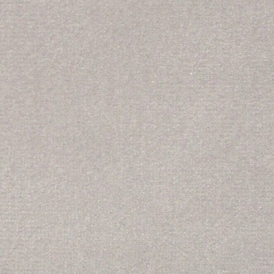 Scalamandre Argo Perla COLONY FABRIC 2019 CL 002936432 Grey Upholstery COTTON COTTON