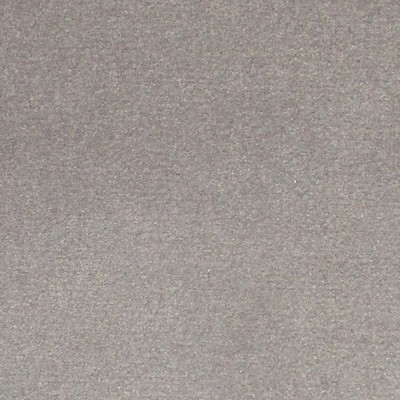 Scalamandre Argo Fumo COLONY FABRIC 2019 CL 003036432 Grey Upholstery COTTON COTTON