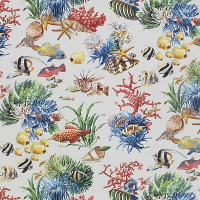 Grey Watkins Aquatica  Oyster CN 0003AK07 Beige Upholstery COTTON COTTON Fish and Friends  Marine Life  Fabric