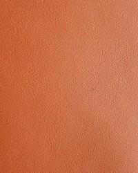 Scottish Leather Fr Cheviot Hills by  Old World Weavers 