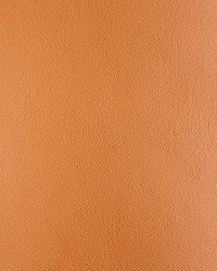 Scottish Leather Fr Dumbarton by  Old World Weavers 