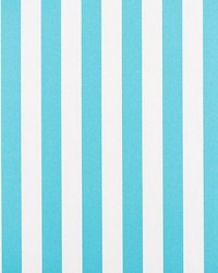 Awning Stripe Turquoise by   
