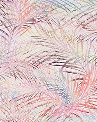 Palmitos Coral Branch by   