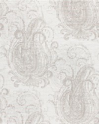 Rubato Sheer Pearl by   