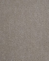 Trianon Velvet Ii Gris Clair by   