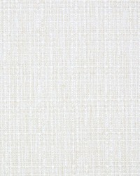 Madagascar Solid Cream by  Old World Weavers 