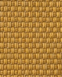 Madagascar Solid Fr Mustard by  Old World Weavers 