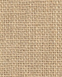 Toile Demborrure Natural by  Old World Weavers 