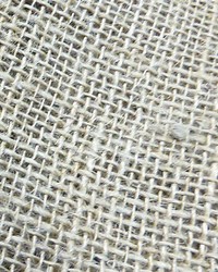 Serpillere Mi Fr Ecru by  Old World Weavers 