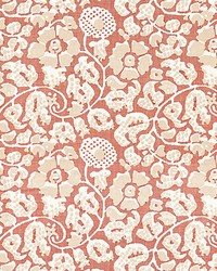 Maiden Floral Terracotta by   
