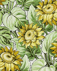 Sunflower Print Harvest by   