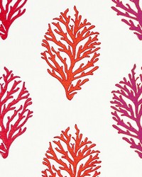 Coral Reef Embroidery Passion Fruit by   