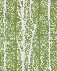 Birch Weave Spring Green by   