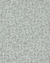 Caracalla Gypse by  Grey Watkins 