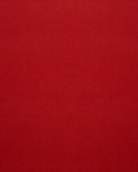 Toucan Coquelicot by   