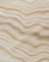 Carriere M1 Onyx by  Scalamandre 