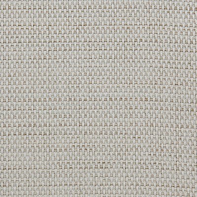 Scalamandre Dolce Vita M1 Sable CONTRACT 24 H0 00011368 Beige Multipurpose POLYESTER  Blend High Performance Fabric