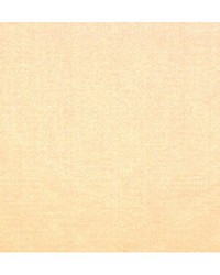 Emotion Champagne by  Duralee 