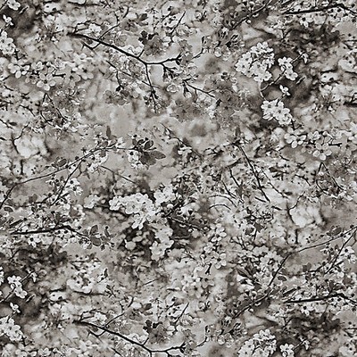 Scalamandre Sakura Tapestry Naturel VOYAGES VOYAGES H0 00013468 Upholstery POLYESTER  Blend
